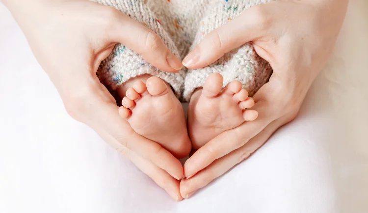 Ganzheitliche Myofunktionelle Therapie bei Babys und Kleinkindern - Seminare 2024